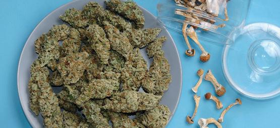 Kan man blanda cannabis och magiska svampar?