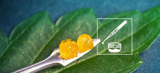 Allt du behöver veta om live resin