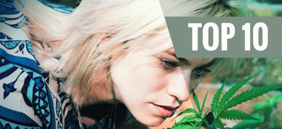 Topp 10 cannabissorter med låg lukt för att minimera doften