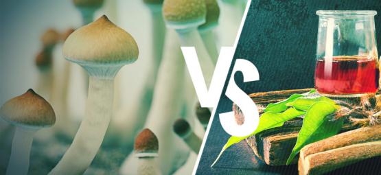 Ayahuasca vs magiska svampar: vad är skillnaden?
