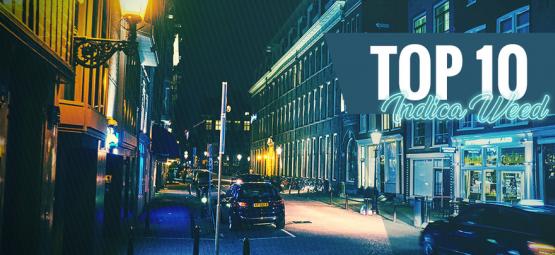 Topp 10 bästa indica-cannabis i Amsterdam