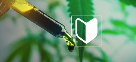 3 cannabiskoncentrat som passar perfekt för nybörjare
