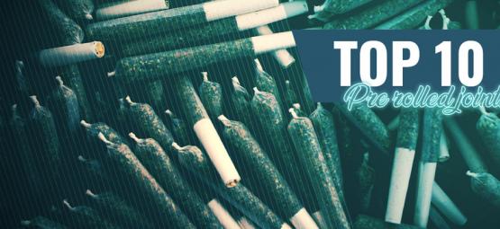 Topp 10 för-rullade joints i Amsterdam
