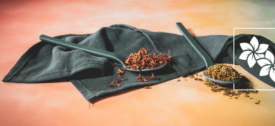 Vild dagga och klip dagga: vad är skillnaden?