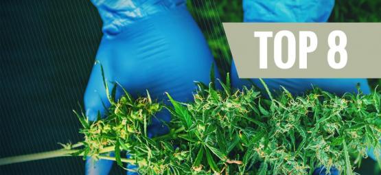 8 skördeverktyg som varje cannabisodlare behöver