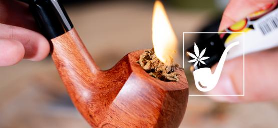 Topp 10 rövpipor för cannabis