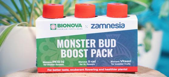 Använd Monster Bud Boost Pack för att odla fruktigare cannabisblommor
