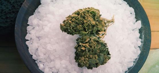 Hur kan epsomsalt gynna dina cannabisplantor?
