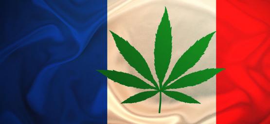 Frankrike delar ut gratis cannabis 2024
