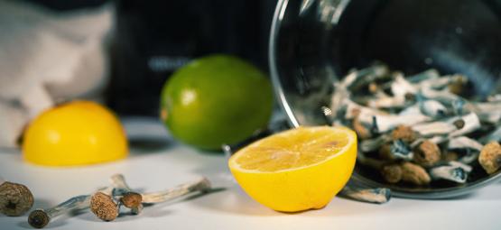 Så gör du lemon tek för en snabbare svamp-/tryffelresa
