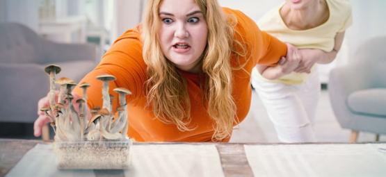 Är magiska svampar beroendeframkallande?