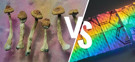 Magiska svampar kontra LSD: vad är skillnaden?