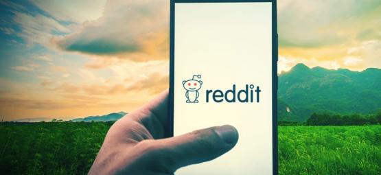 Topp 10 cannabiscommunities på Reddit