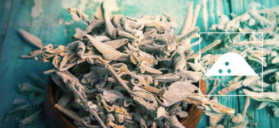 Så gör du Salvia divinorum-extrakt av torra blad