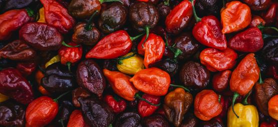 Topp 20 hetaste chilipepparna i världen (2026 års upplaga)