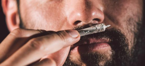 Är det en bra idé att snorta cannabis?