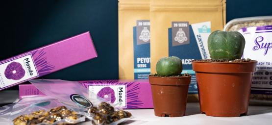 10 bästa presenterna för psykedeliska resenärer