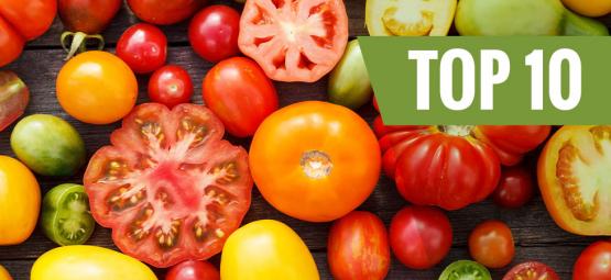 10 tomatsorter att odla