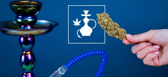 Röka cannabis i en vattenpipa: det här behöver du veta