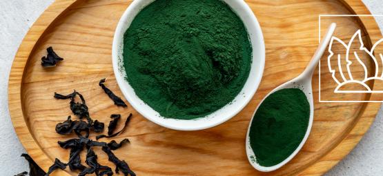 Är chlorella den ultimata supermaten?
