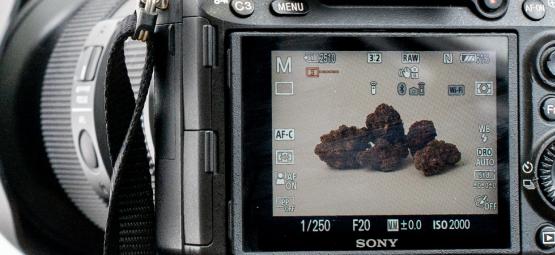 Cannabisfotografering: Så tar du bilder av hög kvalitet