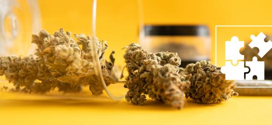 Mikrodosering av THC: Vad är det och hur fungerar det?