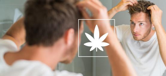 Hur cannabis påverkar håret