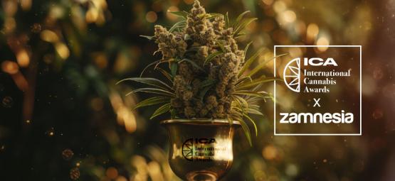 Internationella cannabisutmärkelserna 2024 – Zamnesia kammar hem storvinsten!