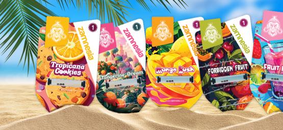 Zamnesia Seeds Show avsnitt 3: Club Tropicana