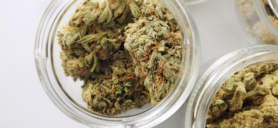 Bygga ett automatiserat system för kurering av cannabis: steg för steg