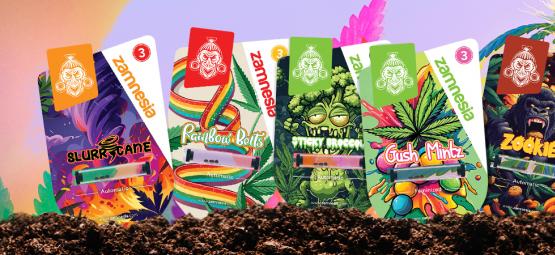 Zamnesia-sorter i rampljuset: Smakfest