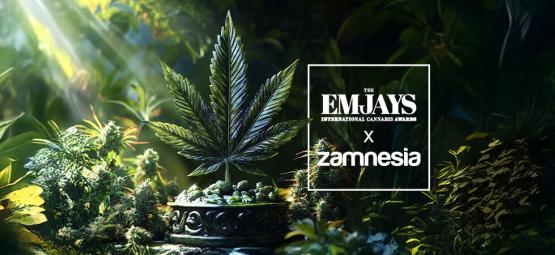 The Emjays – internationella cannabispriset – Zamnesia kammar hem storslam