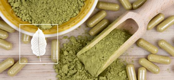 Hur man använder kratom