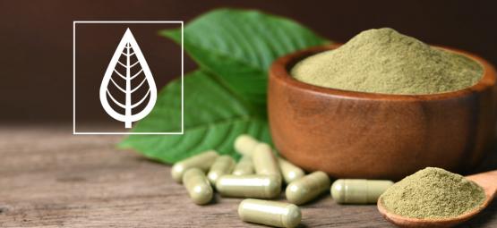 Vad är skillnaden mellan kratomsorter?