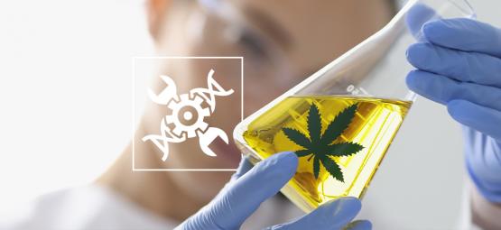 Cannabis inom biohacking: Ett unikt angreppssätt för modern hälsa och välmående