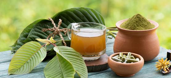 Kratomberonde och abstinens