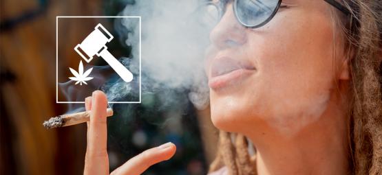 Utforska den växande cannabisturismindustrin