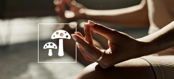 Den ultimata guiden till biohacking med psykedeliska och funktionella svampar