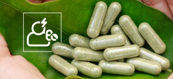 Kratomsäkerhet och biverkningar: Det här behöver du veta
