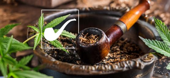 Är Longbottom Leaf i Sagan om ringen cannabis?