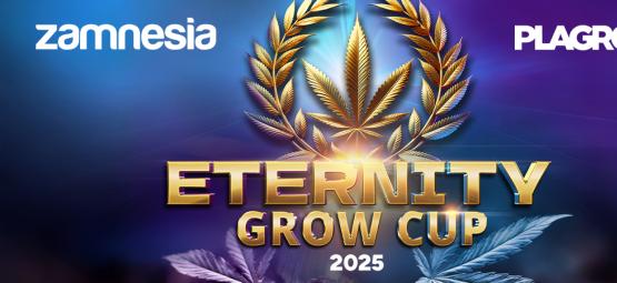 Eternity Grow Cup 2025: En hyllning till årets bästa odlingar