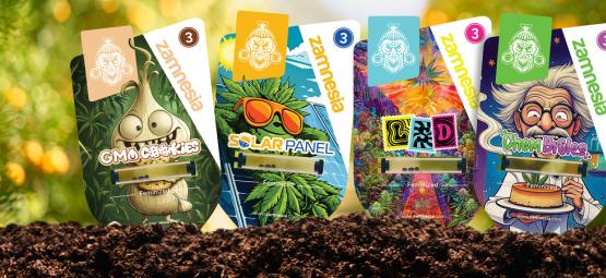 Välkommen till Sector Z: En hemligstämplad cannabisupptäckt
