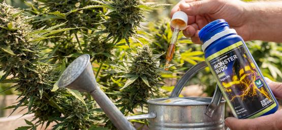 Maximera tillväxten med Monster Buds: ett komplett gödningssortiment för varje odlingsfas