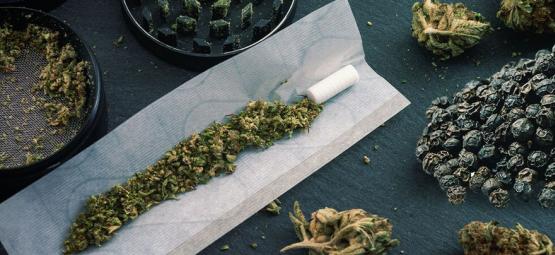 Kan svartpeppar hjälpa till att hantera cannabisens effekter?