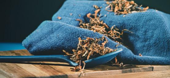 Wild Dagga: En mildt euforiserande ört