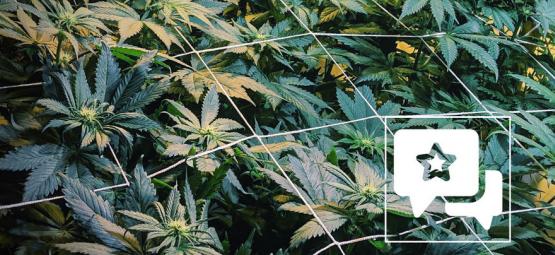 Sortrecension: Casey Jones