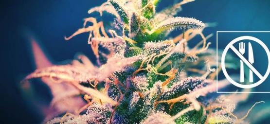 Cannabissorter som inte ger dig småätarsug?