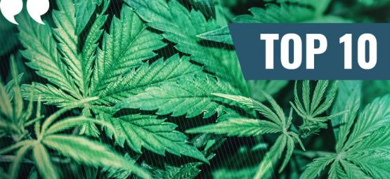 Topp 10 bästa marijuana-citat genom tiderna