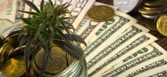 Cannabis och den amerikanska ekonomin