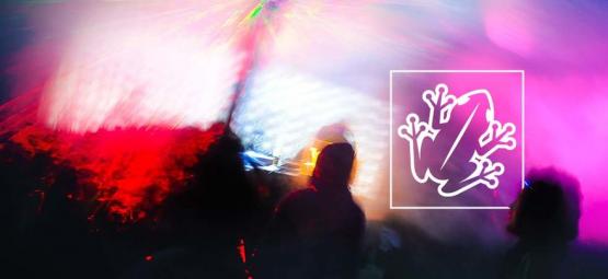 5-MeO-DMT och paddprofeten